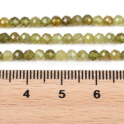 天然のグリーンガーネットビーズ連売り  ラウンド  多面カット  3mm  穴：0.6mm  約128~129個/連&nbsp;G-B181-A01-3mm