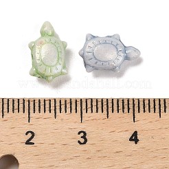 Plastics Beads&nbsp;LS-KY-B004-05C