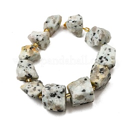 Raw Rough Natural Seaame Jasper Beads Strands&nbsp;G-Z087-B03