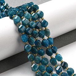 Natural Apatite Beads Strands&nbsp;G-M443-B06-02