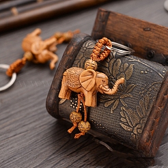 Resin Pendant Keychain&nbsp;PW-WG58876-01