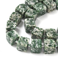 Natural Green Spot Jasper Beads Strands&nbsp;G-D338-A03