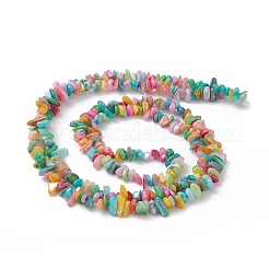 Dyed Natural Freshwater Shell Beads Strands&nbsp;BSHE-G033-05