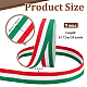 Polyester Braid Ribbon&nbsp;OCOR-WH0816-012B-1-2
