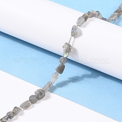 Natural Labradorite Beads Strands&nbsp;G-G018-24
