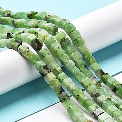 Natural Serpentine Beads Strands&nbsp;G-L585-C01-01