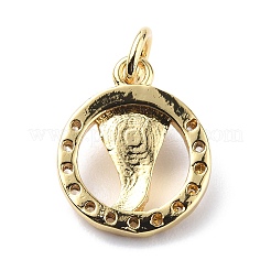 Brass Micro Pave Cubic Zirconia Charms&nbsp;ZIRC-F131-12G