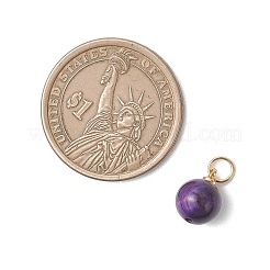 Dyed Natural Tiger Eye Round Charms&nbsp;PALLOY-JF04979