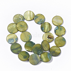 Freshwater Shell Beads Strands&nbsp;X-SHEL-T014-011D
