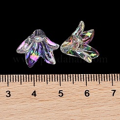Transparent Acrylic Caps&nbsp;MACR-K358-08C