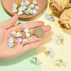 16PCSアクリルパーツ  真鍮製の金具と304ステンレススチール製の丸カン付き  花  ゴールドカラー  26mm&nbsp;PALLOY-FS00076