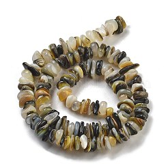 天然ブラックリップシェルビーズ連売り  チップ  2.5~6x6.5~10x7~11mm  穴：0.4mm  15.94''（40.5センチメートル）&nbsp;BSHE-G038-04