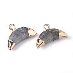 Electroplate Natural Labradorite Charms&nbsp;G-S344-48B