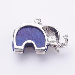 Natural Dyed Lapis Lazuli Pendants&nbsp;G-P268-10