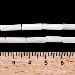Freshwater Shell Beads Strands&nbsp;BSHE-L037-13
