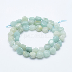 Natural Amazonite Beads Strands&nbsp;G-K203-19