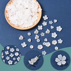 10種類のアクリルビーズキャップ600個  花  ホワイト  8~17x6~18x2.5~10.5mm  穴：1.2~2mm  60個/スタイル&nbsp;OACR-SC0002-37