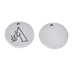 Non-Tarnish 304 Stainless Steel Charms&nbsp;LS-STAS-T059-26P-A