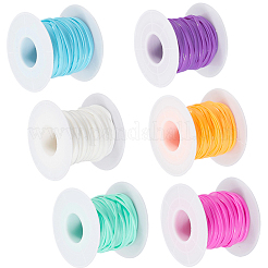 6ロール 6色 PVCプラスチック ラタン ウィッカーストリップ  ミックスカラー  56mm  約10.94ヤード（10m）/ロール  1ロール/色&nbsp;DIY-CY0001-96