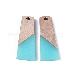 Resin & Wood Pendants&nbsp;RESI-S358-59B