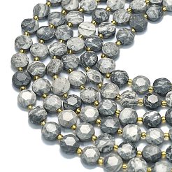 天然な地図の石のビードの繊維  ファセット六角形カットのコインビーズ  フラットラウンド  シードビーズで  10x6mm  穴：1.1mm  約31個/連  15.35''（39センチメートル）&nbsp;G-C116-A129-01