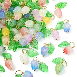90 個 9 色のアクリルチャーム  304ステンレススチール製丸カン付き  花  ゴールドカラー  ミックスカラー  14mm  10個/カラー&nbsp;PALLOY-YW00152