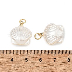 ABSプラスチックパール調ペンダント  シェルシェイプチャーム  304ステンレススチール製丸カン付き  18KGP本金メッキ  18x16x7.5mm  穴：3mm&nbsp;PALLOY-JF05588