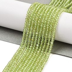 天然石ペリドットビーズ連売り  多面カット  ロンデル  3x2mm  穴：0.5mm  約189~191個/連  15.35''（39センチメートル）&nbsp;G-ONLY-T-B07-01