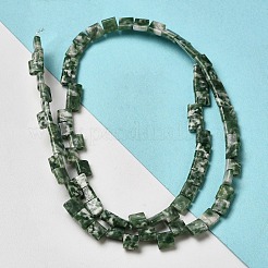 天然グリーンスポットジャスパービーズ連売り  2穴  正方形  5.5x5.5x2.5mm  穴：0.8mm  約71個/連  15.24インチ（38.7cm）&nbsp;G-F762-A21-01