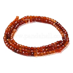 Natural Carnelian Beads Strands&nbsp;G-Q002-C01-02