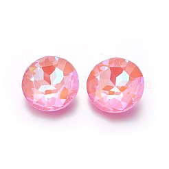 ファセットガラスはラインストーンカボションをバック指摘しました  フラットラウンド  ミックスカラー  35x11~14mm&nbsp;GLAA-L021-E