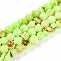 Natural Persian Jade Beads Strands&nbsp;G-A255-A02-01B