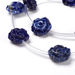 Natural Lapis Lazuli Beads Strands&nbsp;G-I194-35B