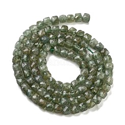 Natural Green Apatit Beads Strands&nbsp;G-H042-A12-02C