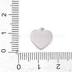 304 Stainless Steel Pendant Rhinestone Settings&nbsp;STAS-L313-03P