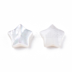 Natural White Shell Beads&nbsp;SSHEL-N032-54B