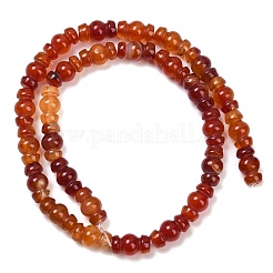 Natural Red Agate(Dyed & Heated) Beads Strands&nbsp;G-P595-B02-01