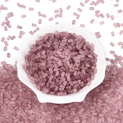 FGB Frosted Transparent Glass Seed Beads&nbsp;SEED-N013-05A-06