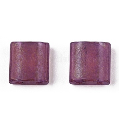 2-Hole Glass Seed Beads&nbsp;SEED-T003-02C-04