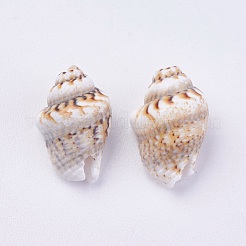 Shell Beads&nbsp;BSHE-P026-35