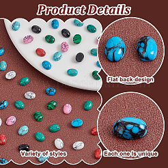 70Pcs 10 Styles Oval Synthetic Turquoise & Synthetic Malachite Cabochons&nbsp;G-PH0002-68