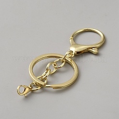 Alloy Keychain Clasps&nbsp;FIND-WH0148-917G