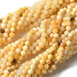 天然石イエロージェイド翡翠ビーズ連売り  ラウンド  8mm  穴：1.2mm  約46個/連  15''（38.1センチメートル）&nbsp;X-G-F591-17-8MM