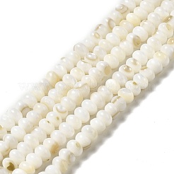 天然淡水シェルビーズ連売り  ロンデル  ベージュ  5x3mm  穴：0.9mm  約114~115個/連  15.31~15.43''（38.9~39.2センチメートル）&nbsp;BSHE-E026-15A-01