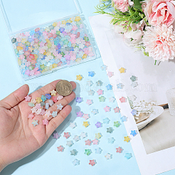 300Pcs Frosted Acrylic Beads&nbsp;OACR-PA0001-71A