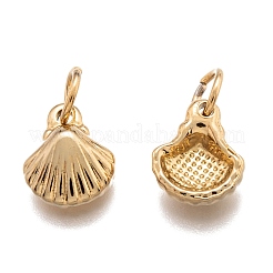 304 Stainless Steel Charms&nbsp;STAS-J036-049G