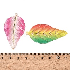 Gradient Colors Acrylic Big Pendants&nbsp;AC-CBAC7C8-01B