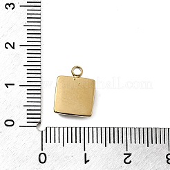 304 Stainless Steel Charms&nbsp;STAS-A128-05G