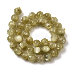Natural Lepidolite Beads Strands&nbsp;G-F799-B02-10mm