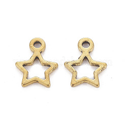 Tibetan Style Alloy Charms&nbsp;GLF10686Y
